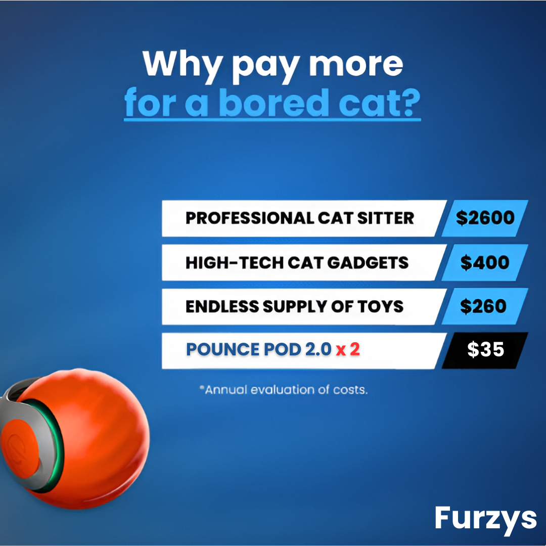 Furzys™ Pounce Pod 2.0